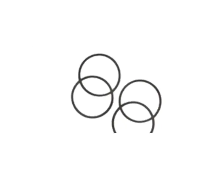 O-Ring