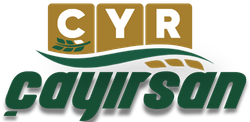 Sayfa yükleniyor